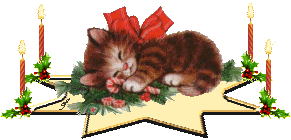 Gify - Świateczne zwierzątka - kotek swiateczny spi na gwiazdce.jpg