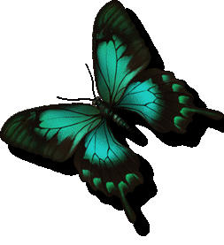 Motyle gify - 3421.gif