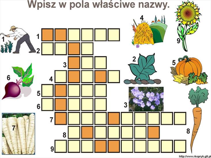 RUSZ GŁOWĄ super krzyżówki - SUPER KRZYŻÓWKI 24.jpg