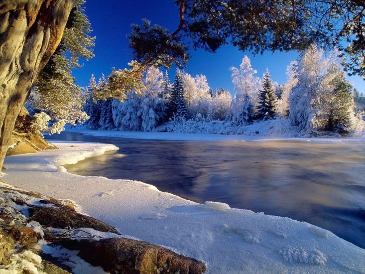 ZIMA - winter_wallpapers_winter_forest_004936_.jpg