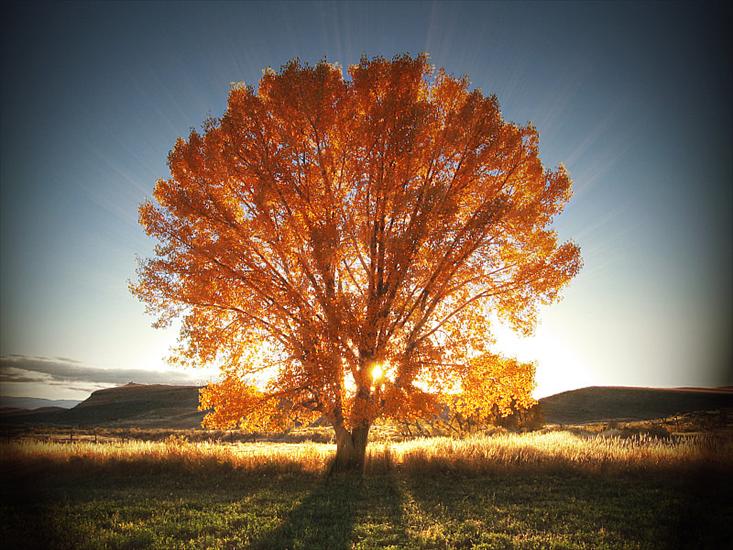 JESIENNE OBRAZY - splendor jesieni...  - by Audra Lamoreaux.jpg