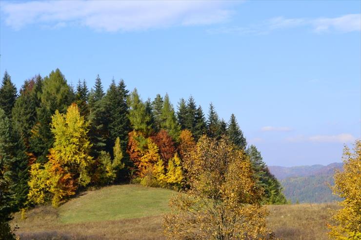 Pieniny - _DSC0376.JPG