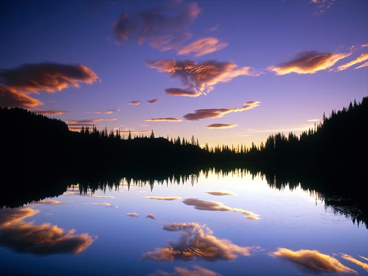 Krajobrazy - Reflection Lake, Mount Rainier National Park, Washington.jpg