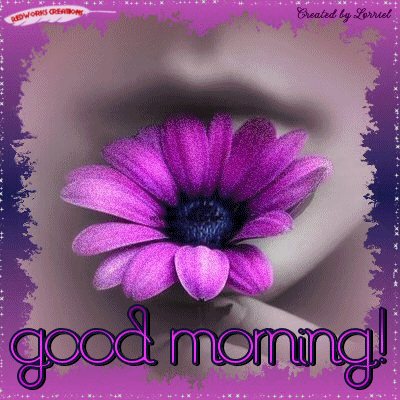  Dzień dobry - purplecflowergm.gif