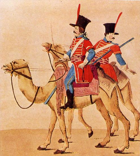 Iconographie De La Revolution Francaise 1789-1799 - 1798 08 Bonaparte cree un regiment des Dromadaires.jpg