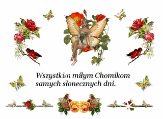  Dla Chomiczków - 0992.gif