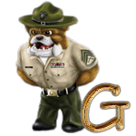 12 - SMD-The-Sarge-Dawg-G.gif
