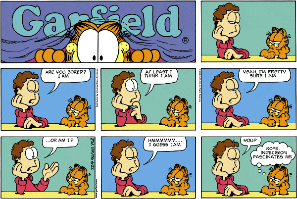 Garfield - Garfield 294.GIF