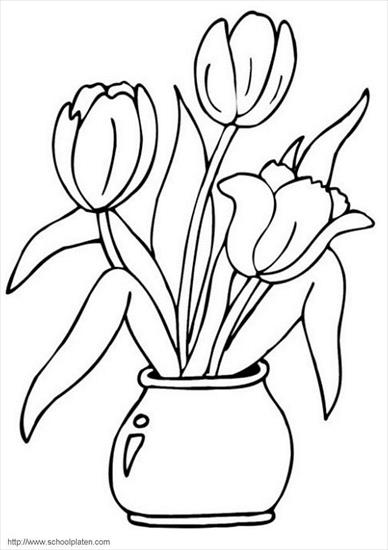 kwiaty nowe - tulipan-2.jpg