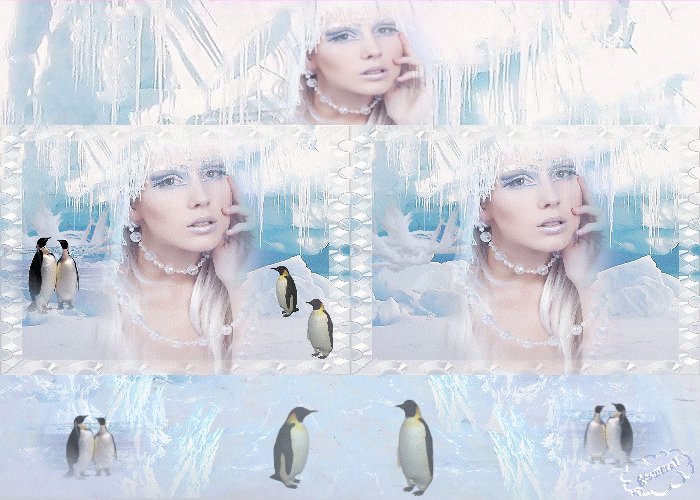 Zimowe - Wśród pingwinów.gif