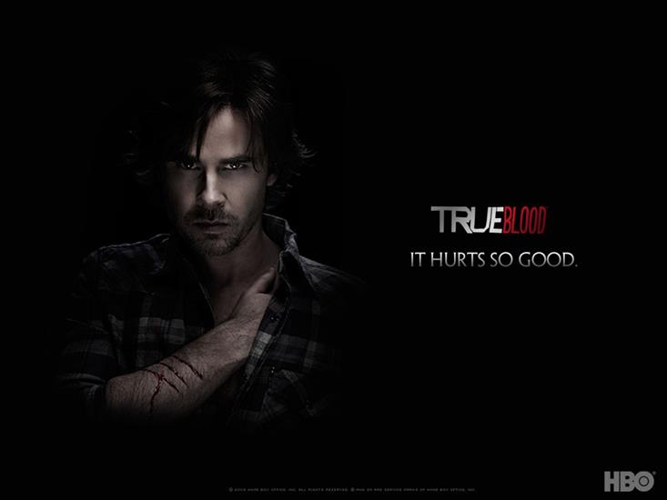 Sam Merlotte - True Blood 2 - Sam.jpg