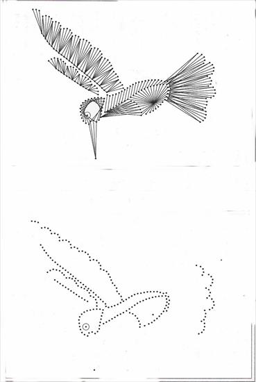 04 - Hummingbird Pattern.jpg