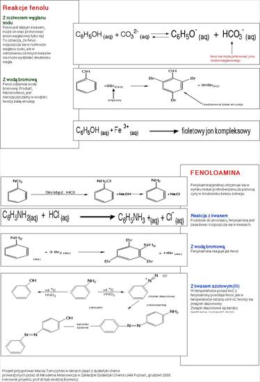 CHEMIA_Tablice i plansze - reakcje_fenolu.JPG
