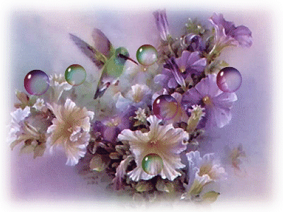 Kwiaty - beija.flor.bolhas.M.gif