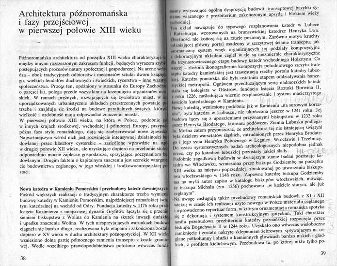 Świechowski- sztuka romańska w polsce 1 - 038.jpg