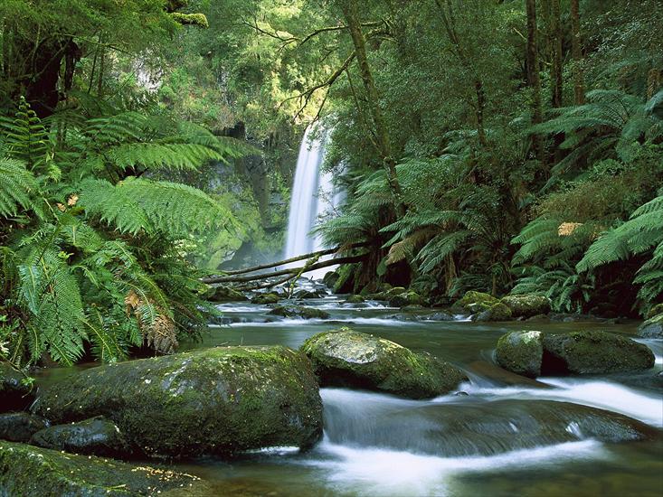 1 - Hopetoun Falls, Aire River, Otway National Park, Victoria, Australia.jpg