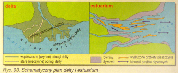 geografia plansze - proc_egzo_zdjecia5.jpg