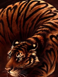 Zwierzęta - Tiger1.jpg