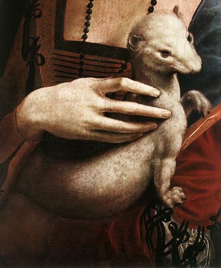 LEONARDO DA VINCI - Portrait of Cecilia Gallerani detail.jpg