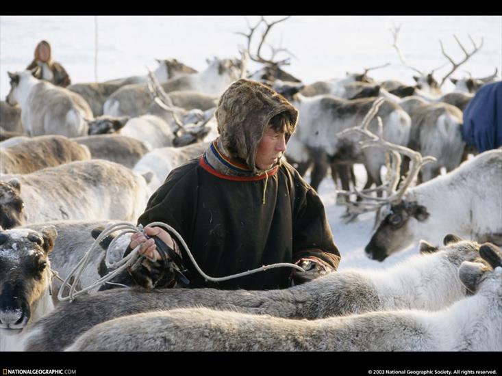 NG09 - Nenets Herder, Siberia, Russia, 1996.jpg