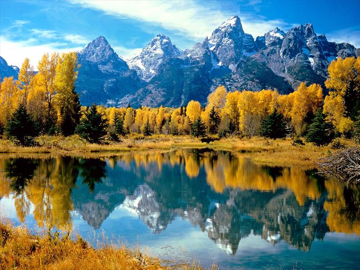 widoki - Autumn-Grandeur_-Grand-Teton-National-Park_-Wyoming.jpg
