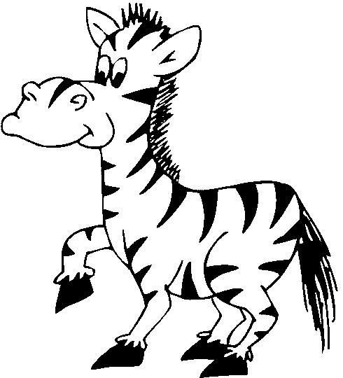 zoo - Zebra.gif