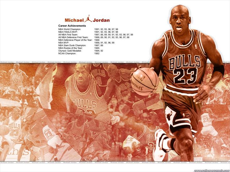 Basketball - 03_Basketball_Desktop_Wallpapers_1024x768.jpg