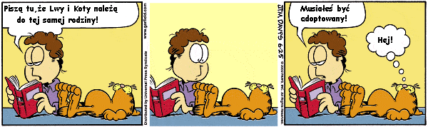 Garfield - garfield6.gif