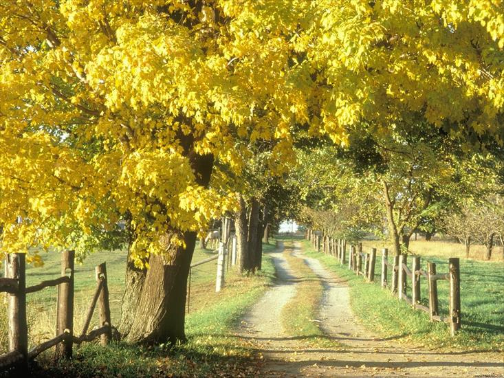 Krajobrazy - Rural_Road_in_Autumn_Ontario_Canada_7532_1600_1200.jpg