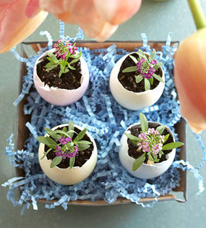 jajka - wydmuszki z kwiatkami.jpg