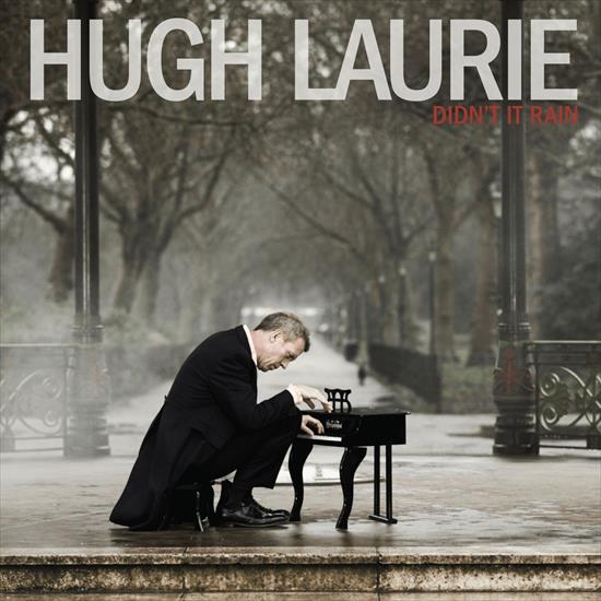Hugh Laurie - Hugh Laurie - Didnt It Rain 2013.jpg