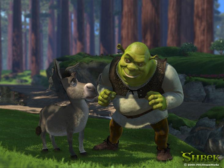 Kreskówki - Shrek i osioł w lesie.jpg