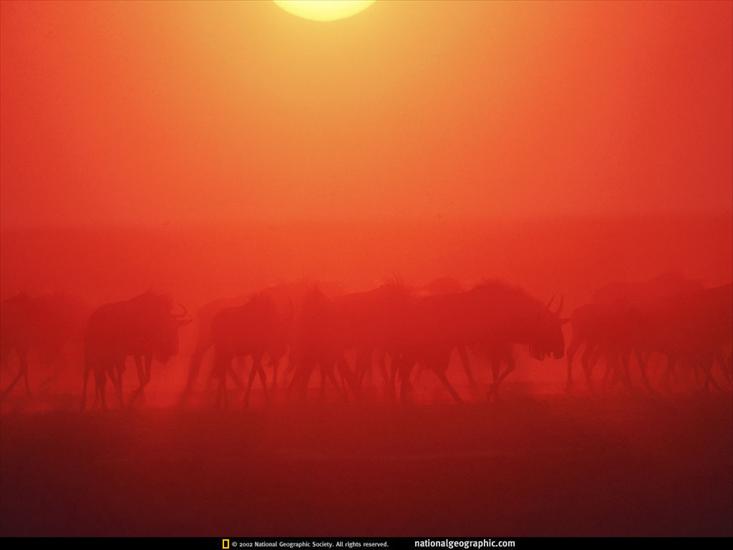 National Geographic Wallpapers - 338.jpg