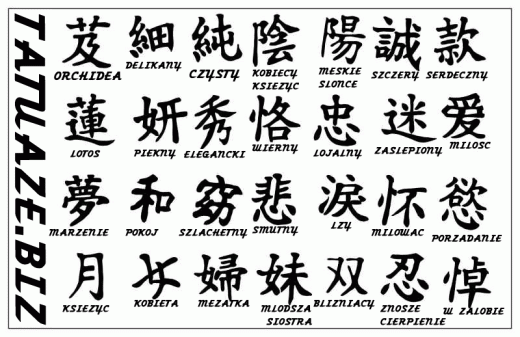 tatoo - chinskie znaki.preview.gif