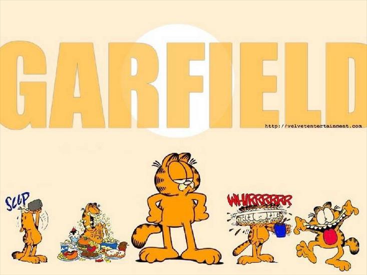 Garfield - 1.jpg