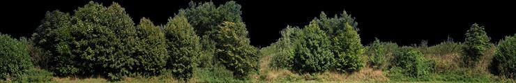 panorama drzew - ALT019-08-D.png