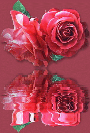 czerwone róże - róża10.gif