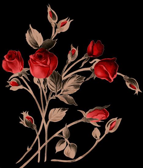 Gify - redroses03.png