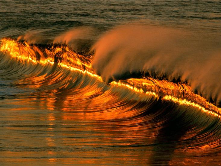 Morze - Golden Wave at Sunset, Puerto Escondido, Mexico.jpg