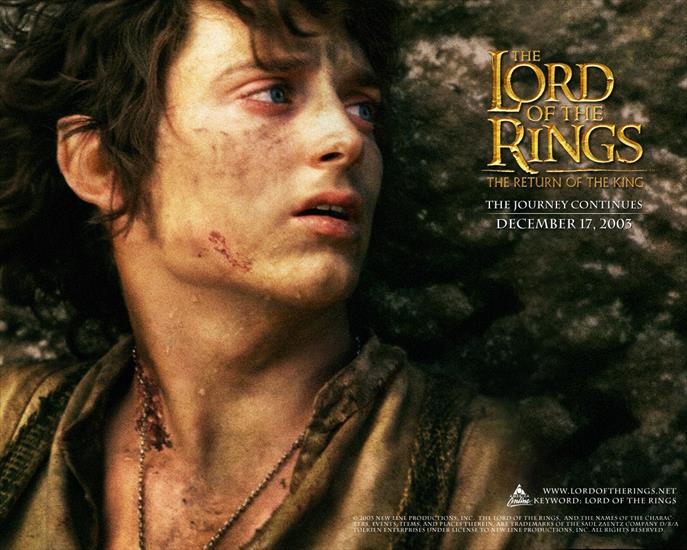 Władca pierścieni - the_lord_of_the_rings,_the_return_of_the_king,_elijah_wood_frodo.jpg