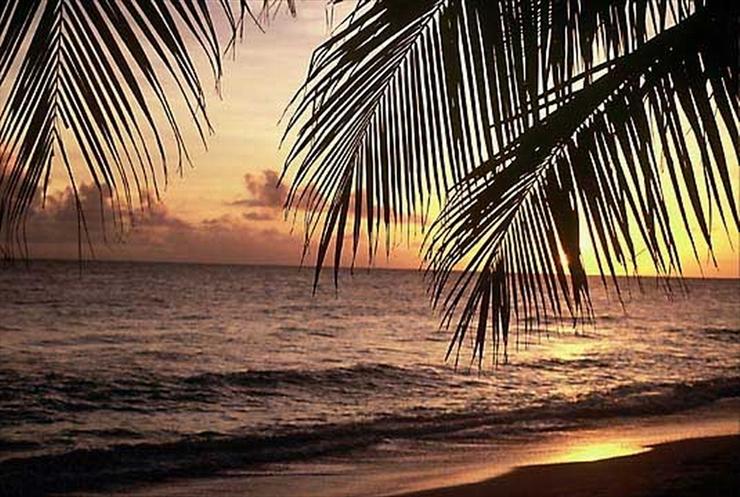 Tapety - Koh Samui sunset  palms copy.jpg