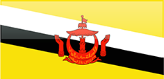 FLAGI 2 - Brunei.png