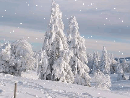 Moje animacje ze śniegiem - zima38.gif