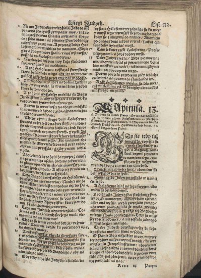Biblia Brzeska 1563 Color 2000p JPGs - Biblia Brzeska 1056.jpg