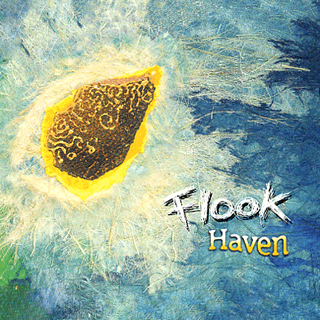 Flook - Haven 2005 - Flook - 2005 IRE - Haven.jpg