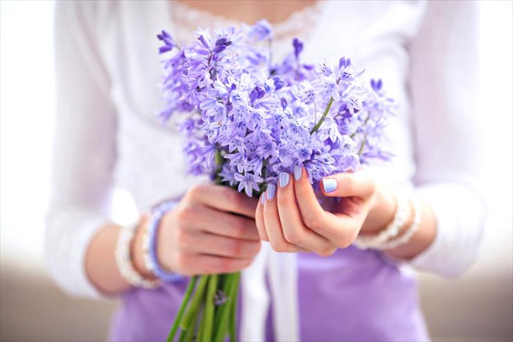 Flowers - Lavender.jpg