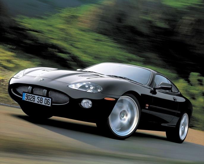 Jaguar - 7.jpg