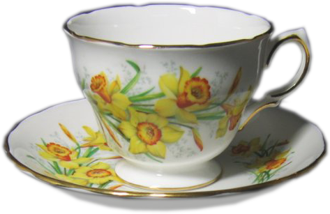 Filiżanki - Narcissus-daffodil-teacup 003.png