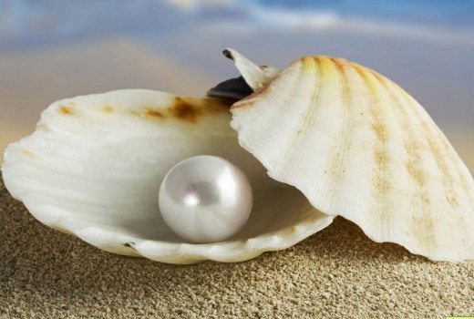 Obrazki różne - white-pearl-in-oyster.jpg