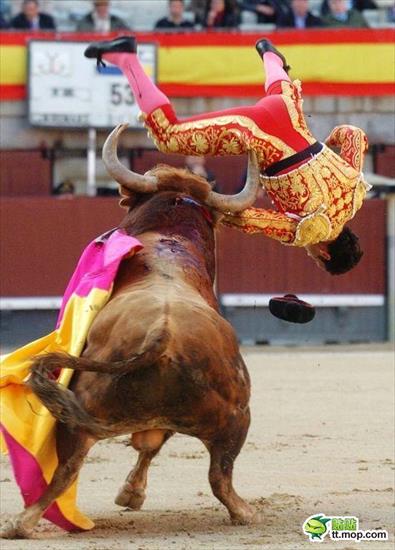 Pogromcy byków - spain-spanish-bullfighting-matadors-09.jpg